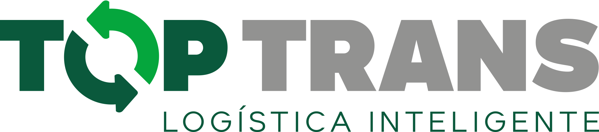 Logo de TOP TRANS DISTRIBUICAO E LOGISTICA LTDA
