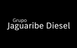 Logo de JAGUARIBE DIESEL COMERCIAL LTDA