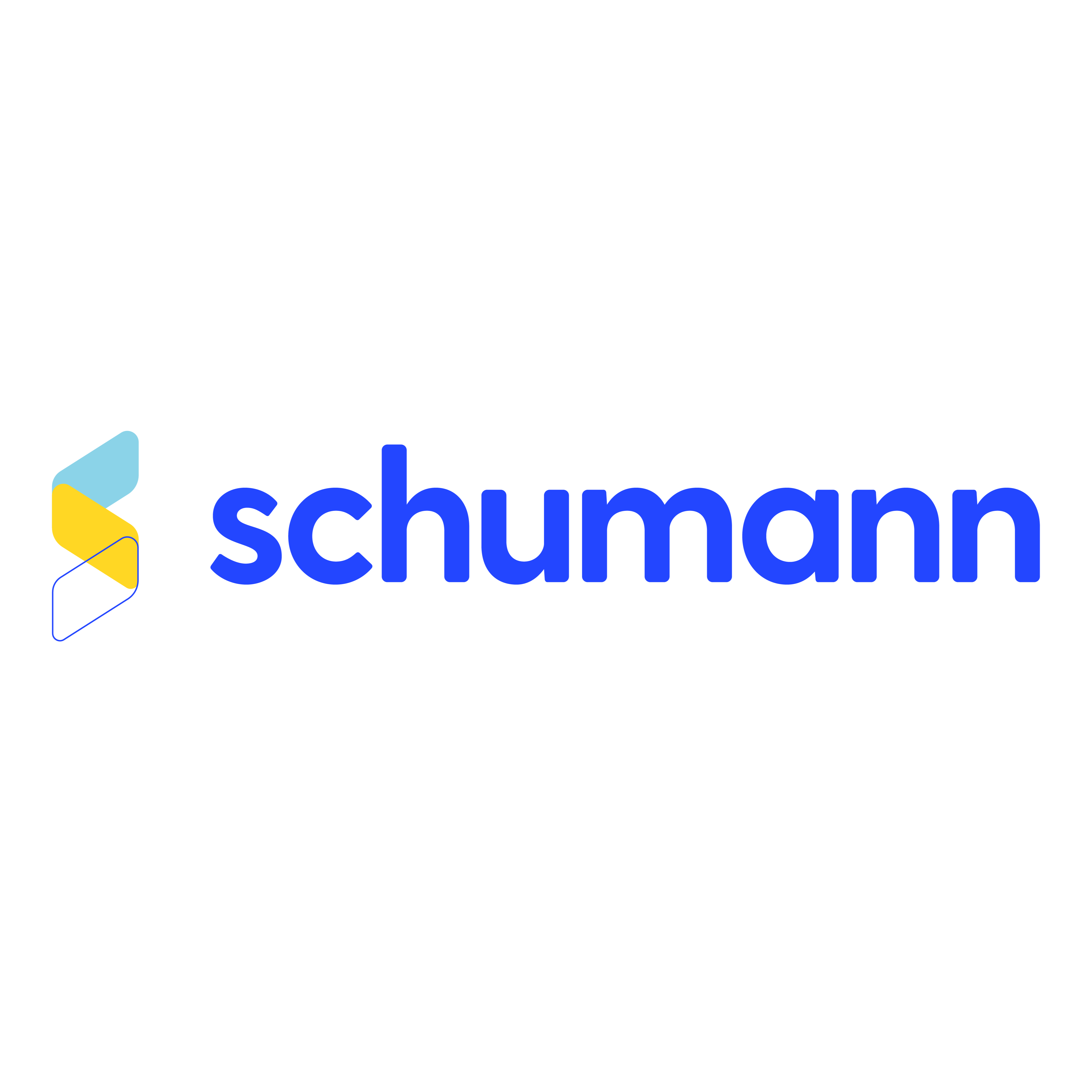 Logo de Schumann