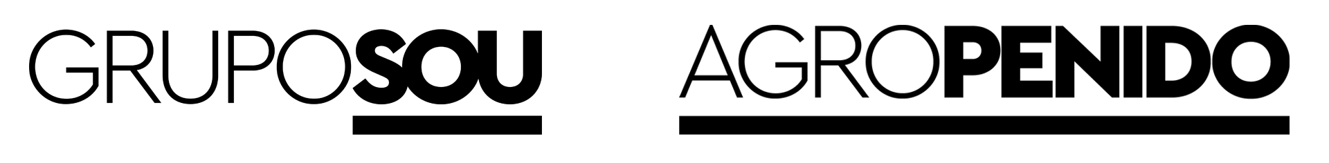 Logo de GRUPO SOU & AGRO PENIDO