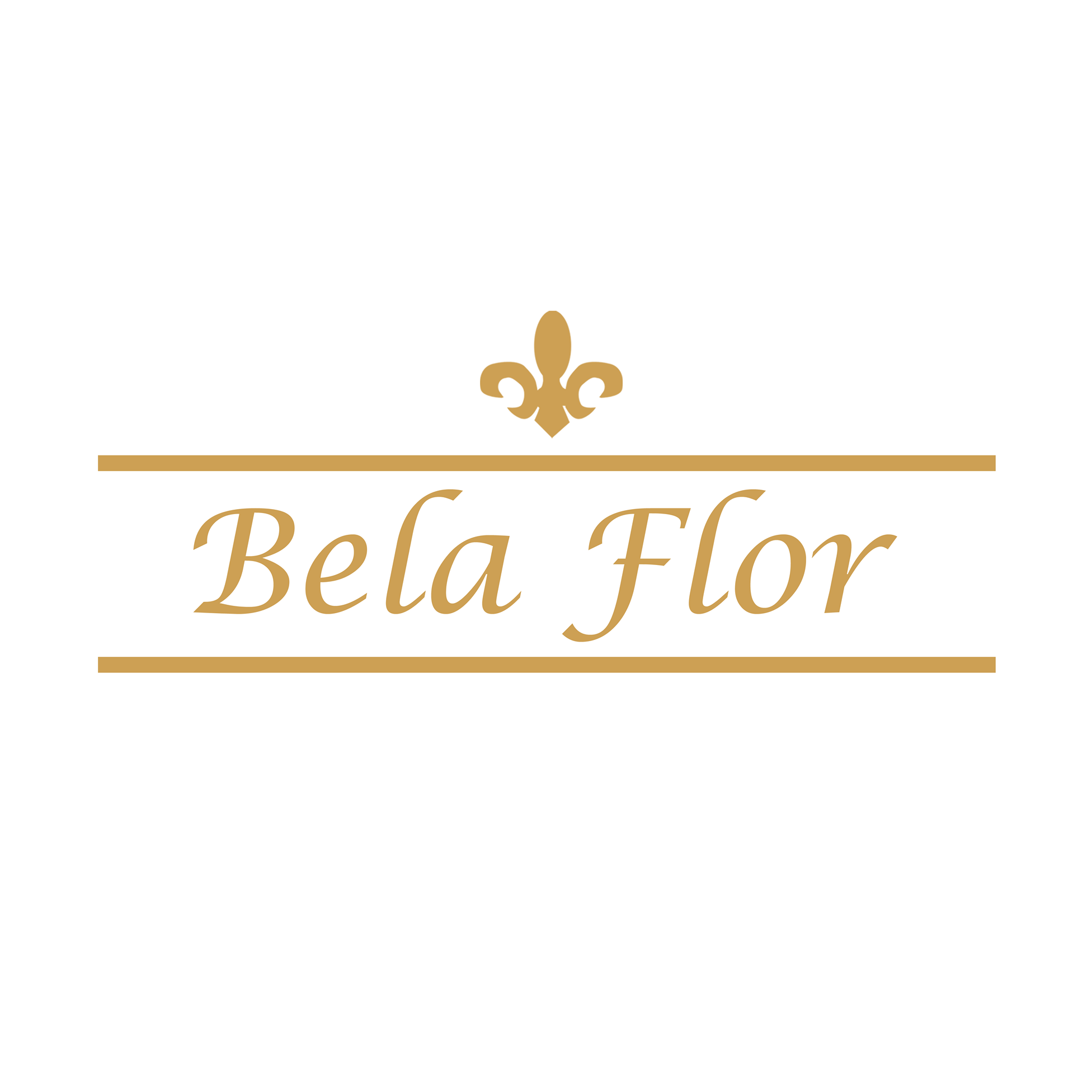 Logo de BELA FLOR COMERCIO DE FLORES RIO PRETO LTDA