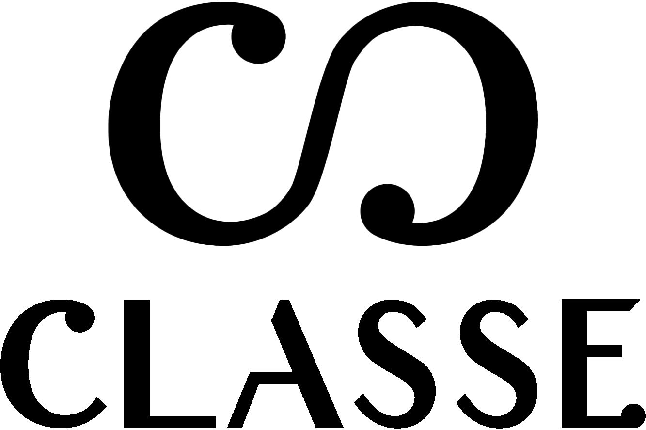 Logo de CLASSE COURO INDUSTRIA DE ARTEFATOS DE COURO LTDA