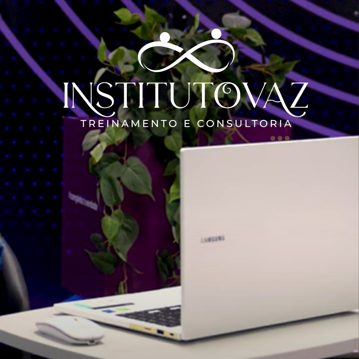 Logo de Instituto Vaz Treinamento e Consultoria