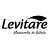 Logo de Levitare