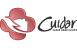 Logo de CUIDAR SAUDE DOMICILIAR LTDA