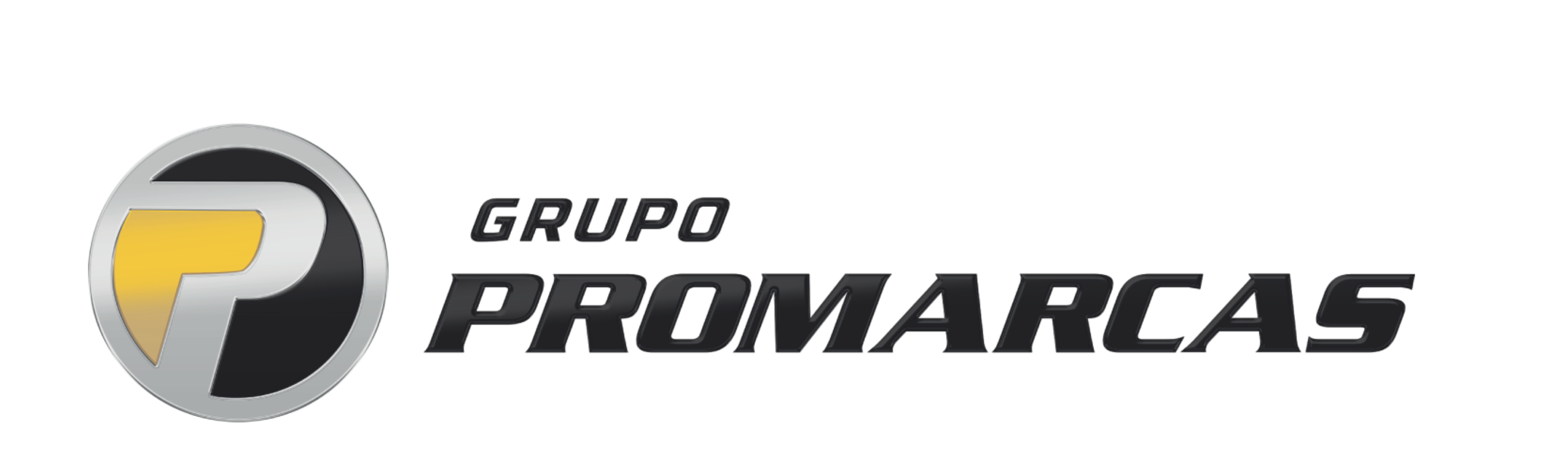 Logo de GP COMERCIO DE FILTROS E LUBIFICANTES LTDA