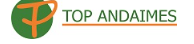 Logo de TOP ANDAIMES LOCACOES E SERVICOS LTDA