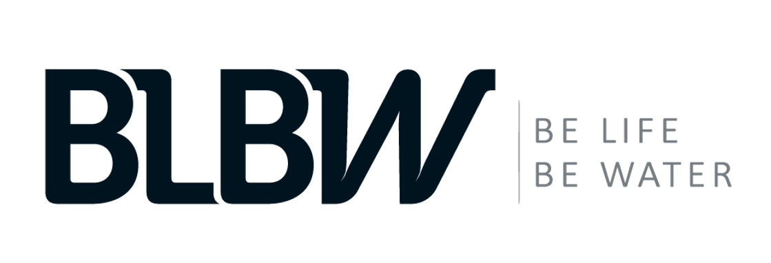 Logo de BLBW TECNOLOGIA E AUTOMACAO LTDA
