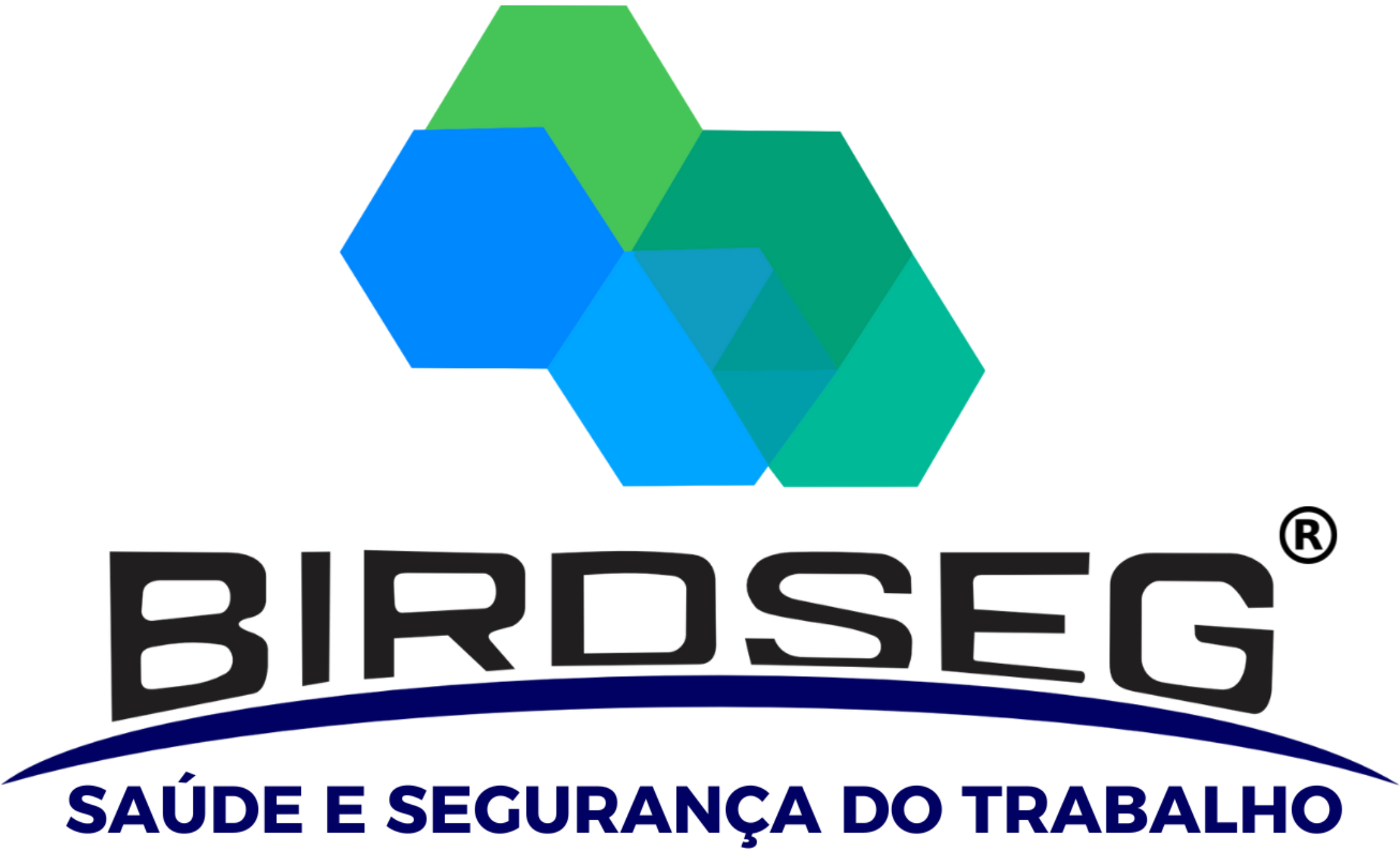 Logo de BIRD SEG FRANCHISING LTDA