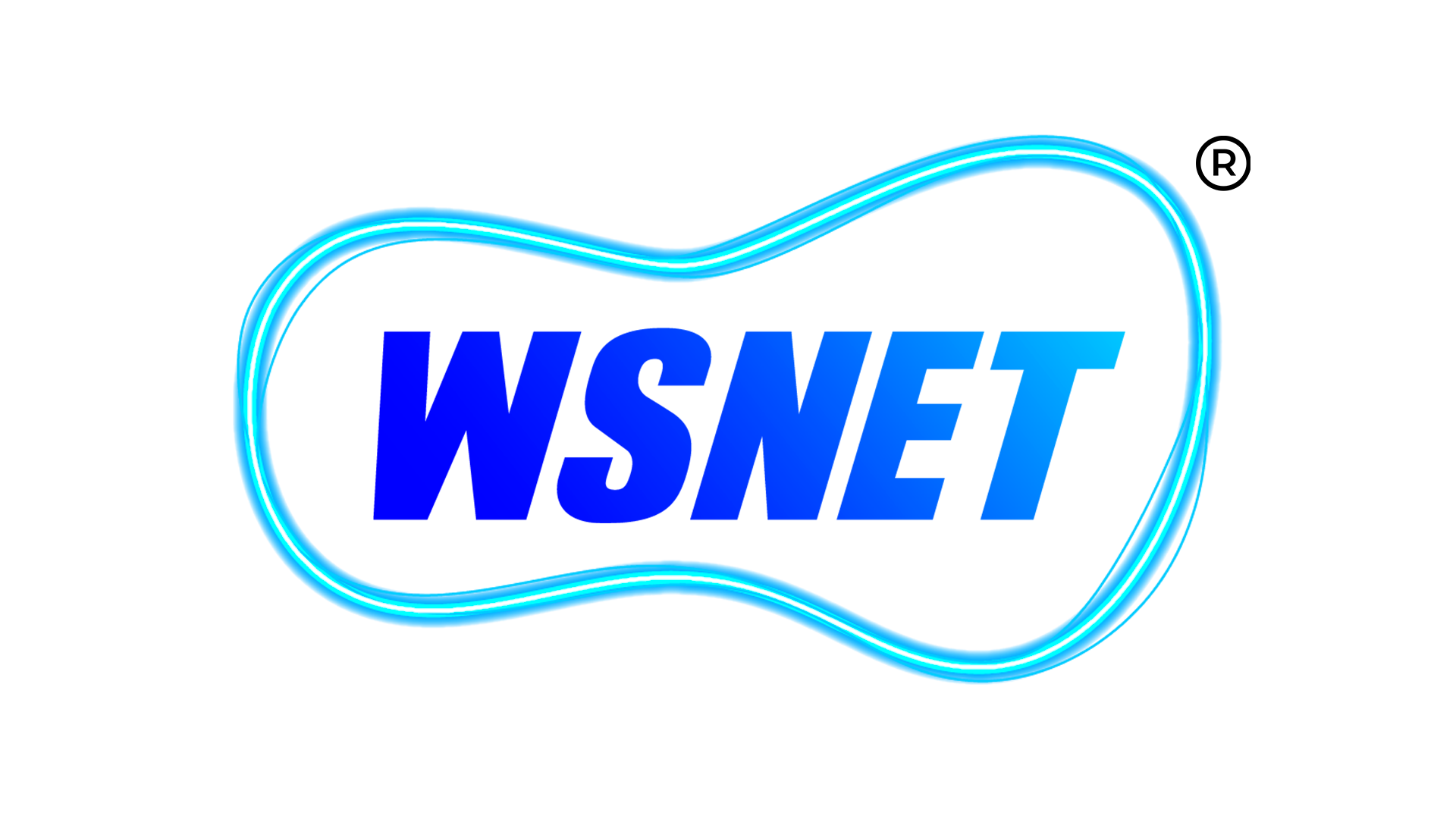 Logo de WSNET TELECOM LTDA
