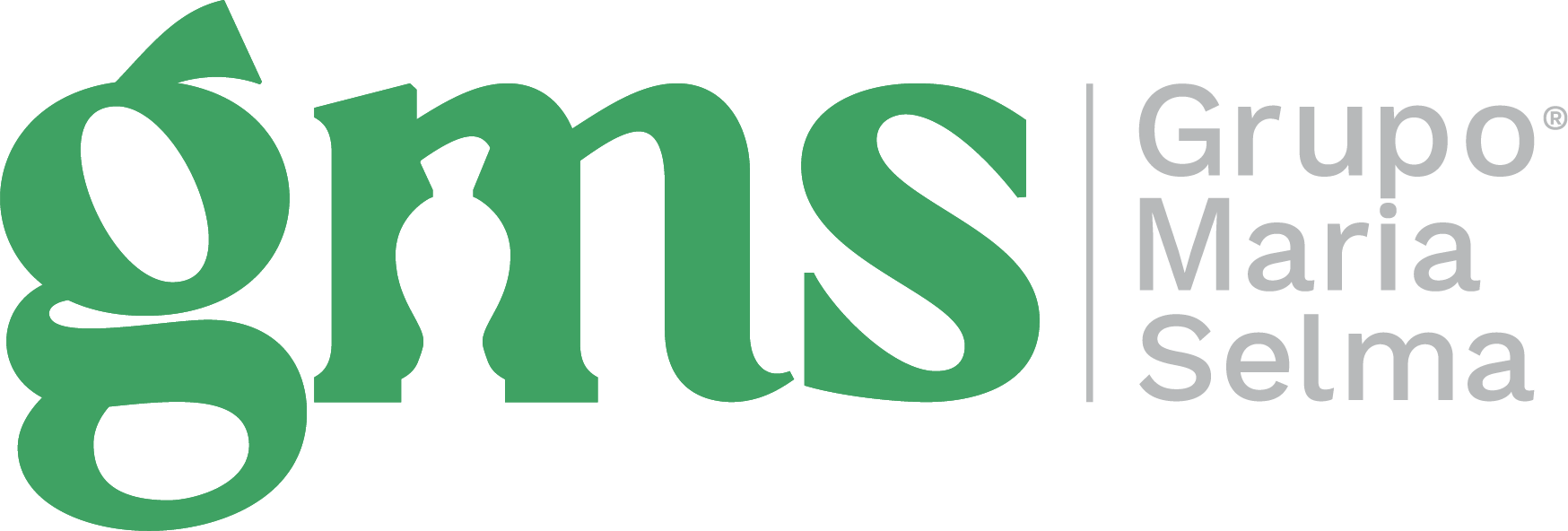 Logo de MARIA SELMA SOUZA ALVES & CIA LTDA