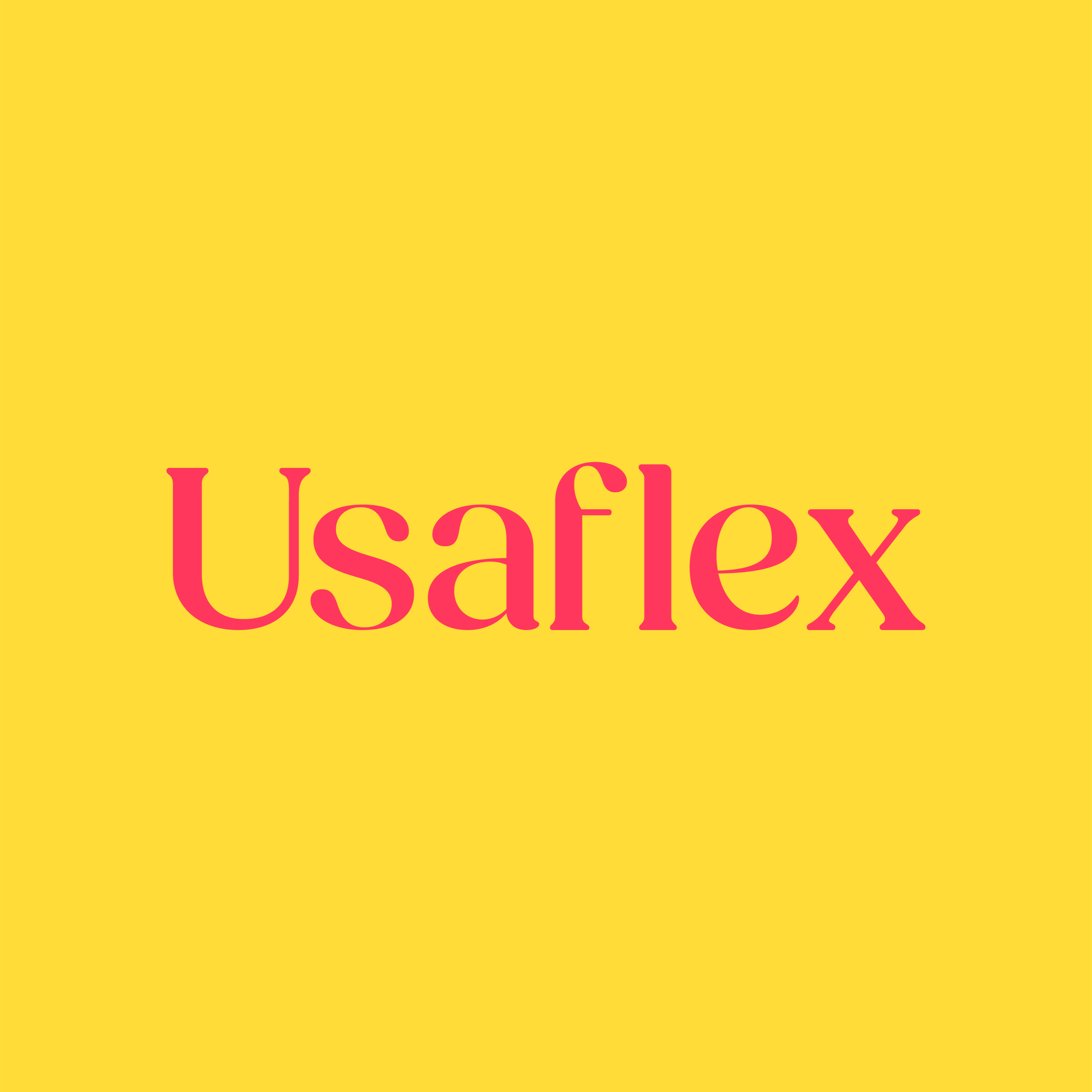 Logo de Usaflex