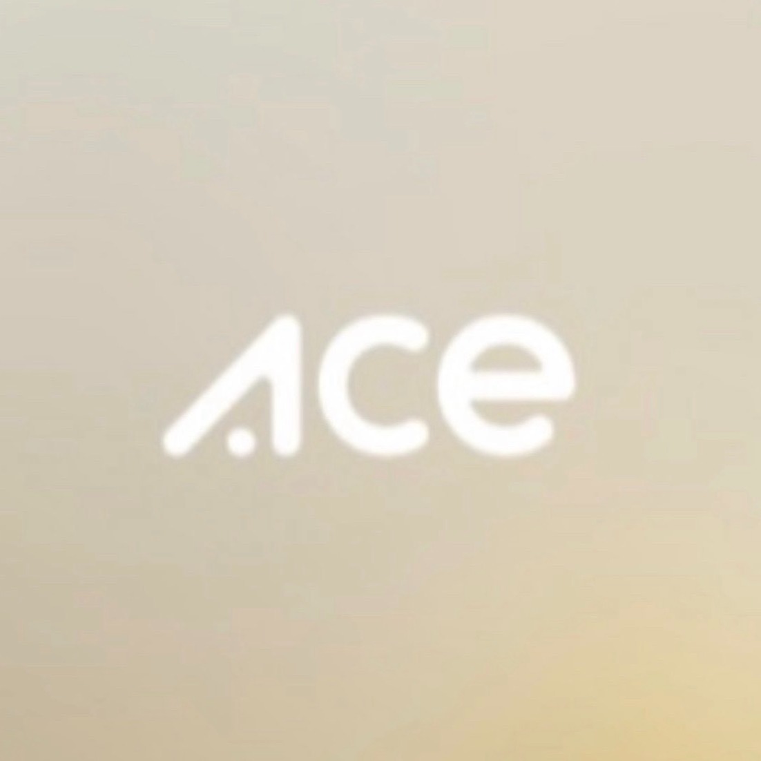 Logo de Lojas ACE