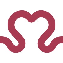 Logo de Instituto Social Mais Saúde