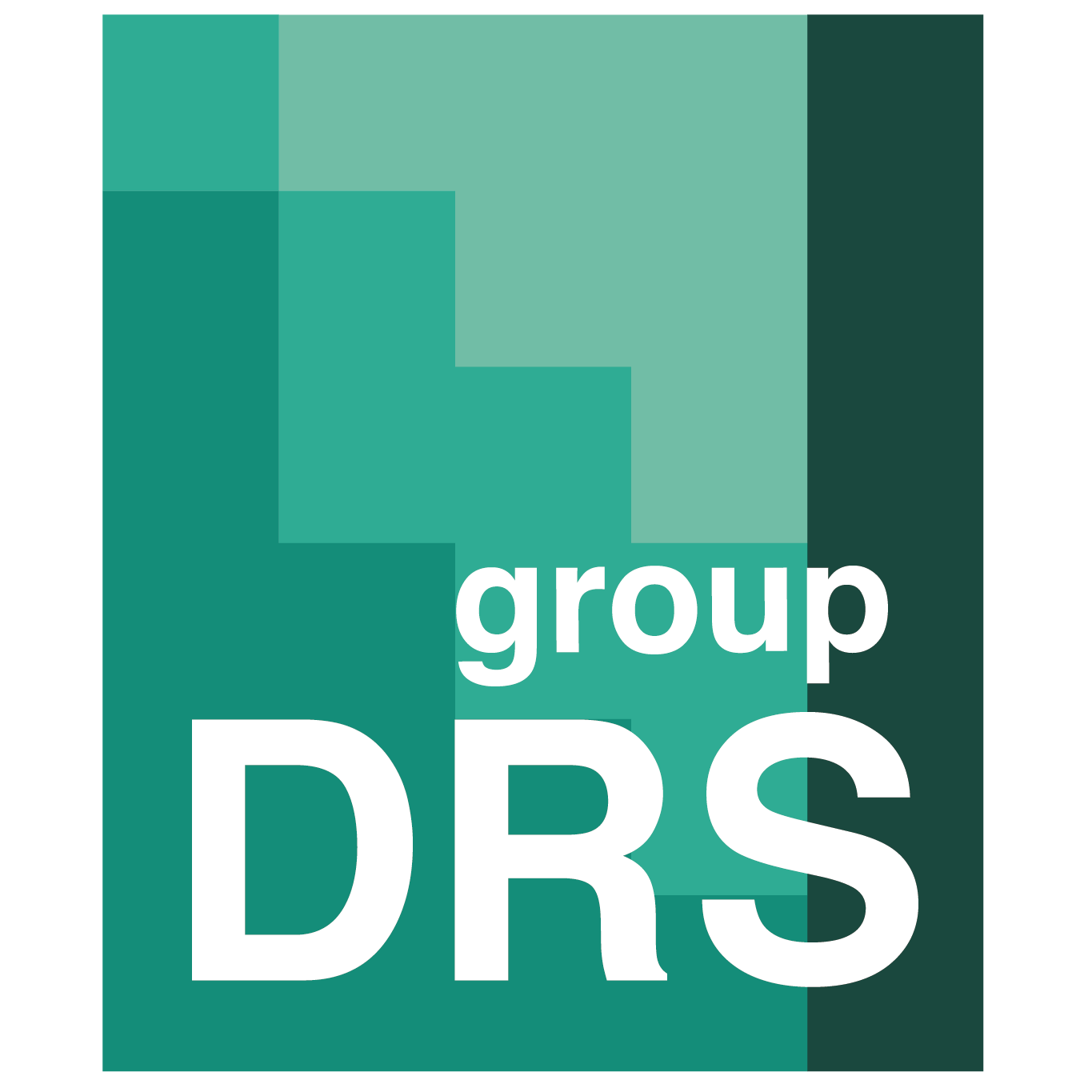 Logo de DRS Group