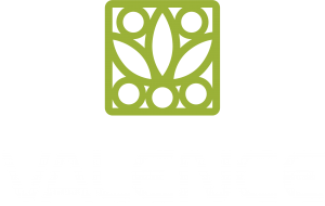 Logo de VALENCE QUIMICA DO BRASIL LTDA