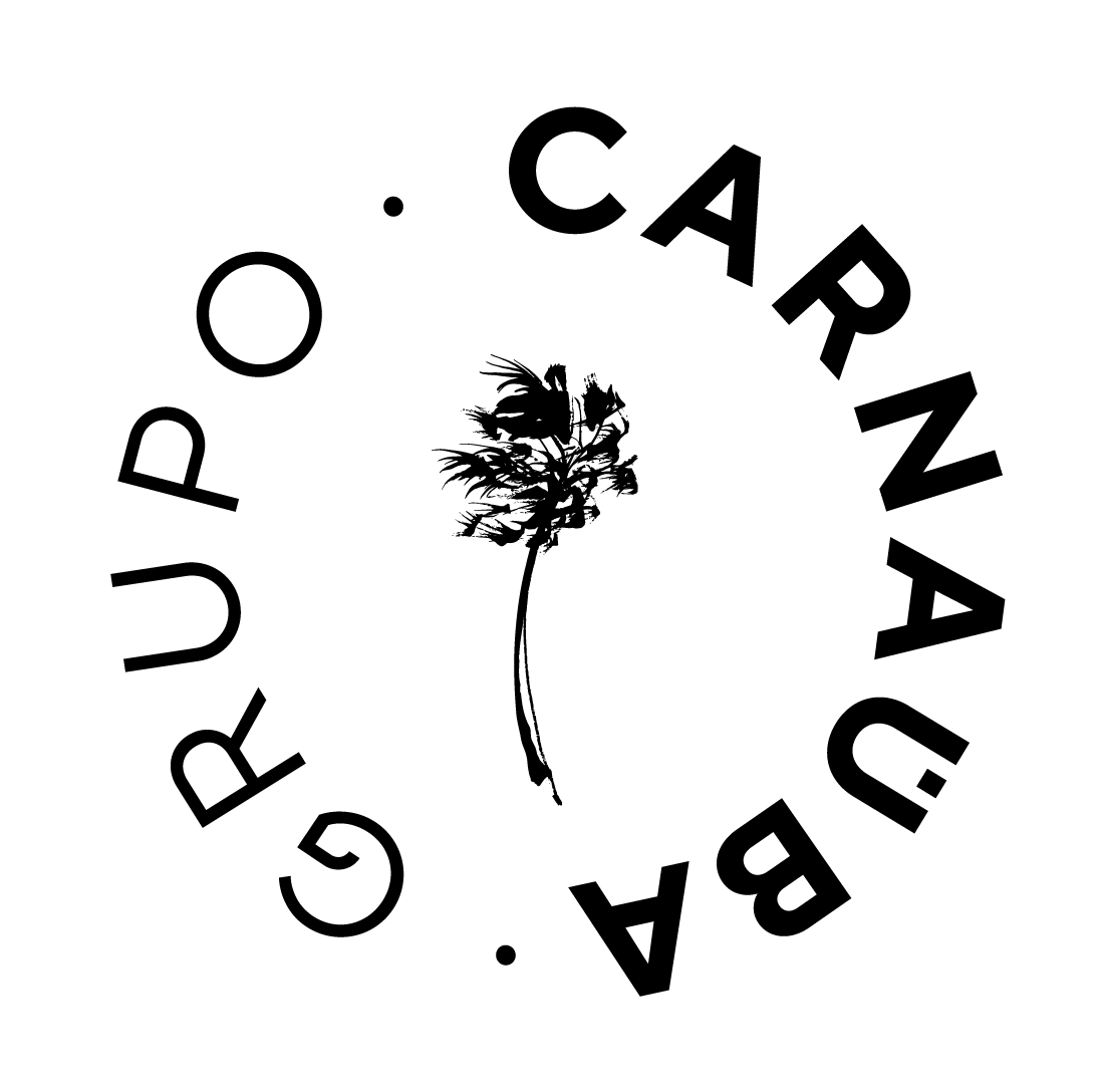 Logo de GRUPO CARNAÚBA