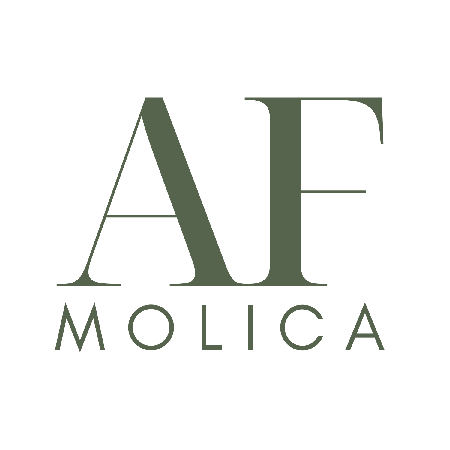 Logo de R. MOLICA & A. F. MOLICA LTDA