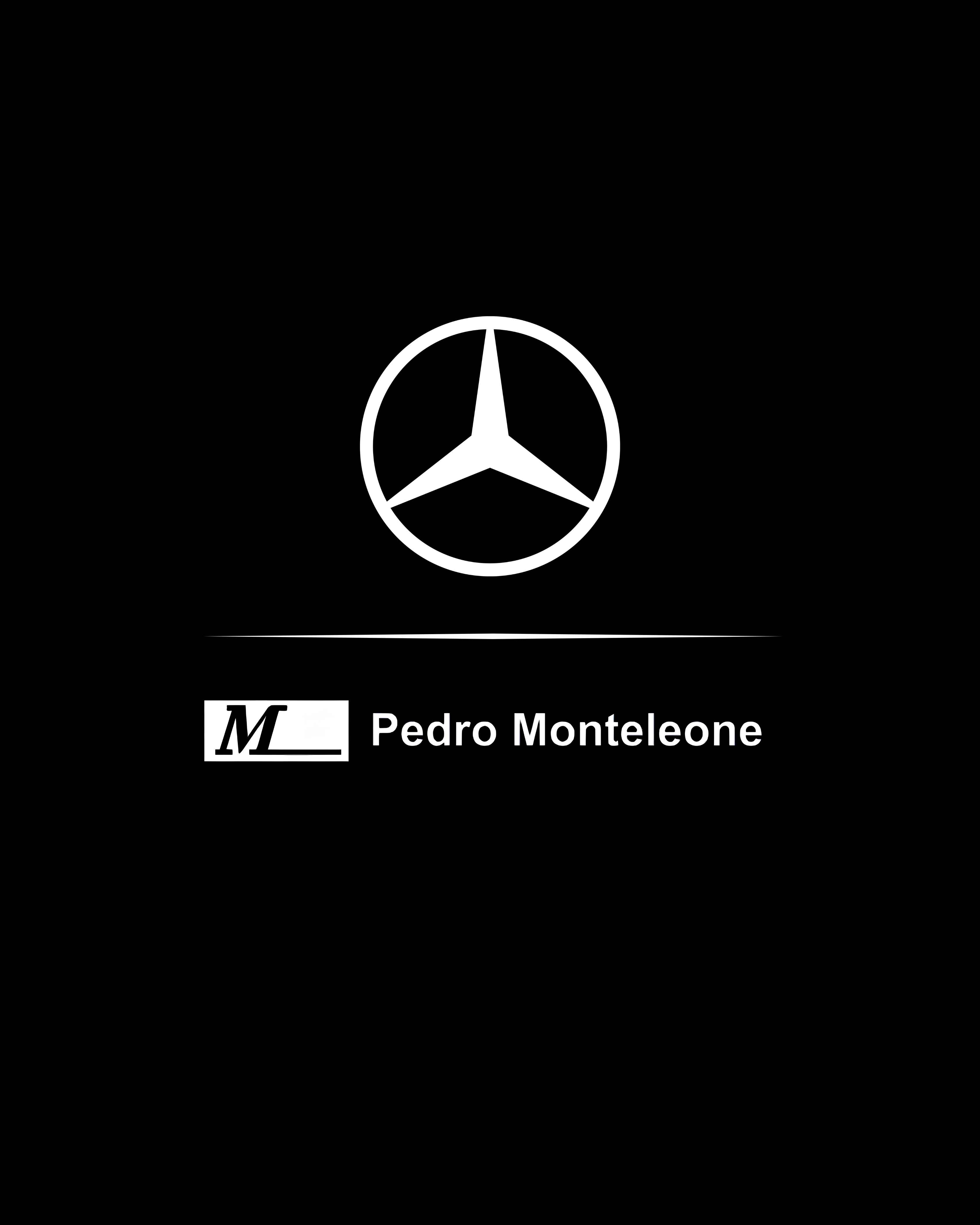 Logo de PEDRO MONTELEONE VEICULOS E MOTORES LIMITADA