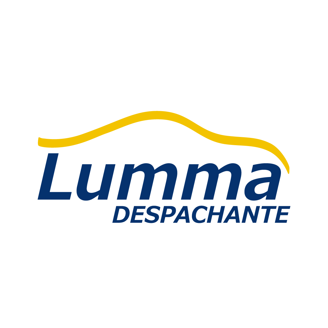 Logo de Lumma Despachante