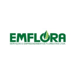 Logo de EMFLORA: Cultivando Talentos, Regando Paixões, e Colhendo o Brilho Único de Pessoas Inspiradoras!