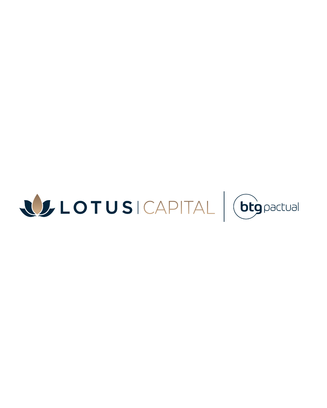 Logo de LOTUS CAPITAL ASSESSORES DE INVESTIMENTOS LTDA