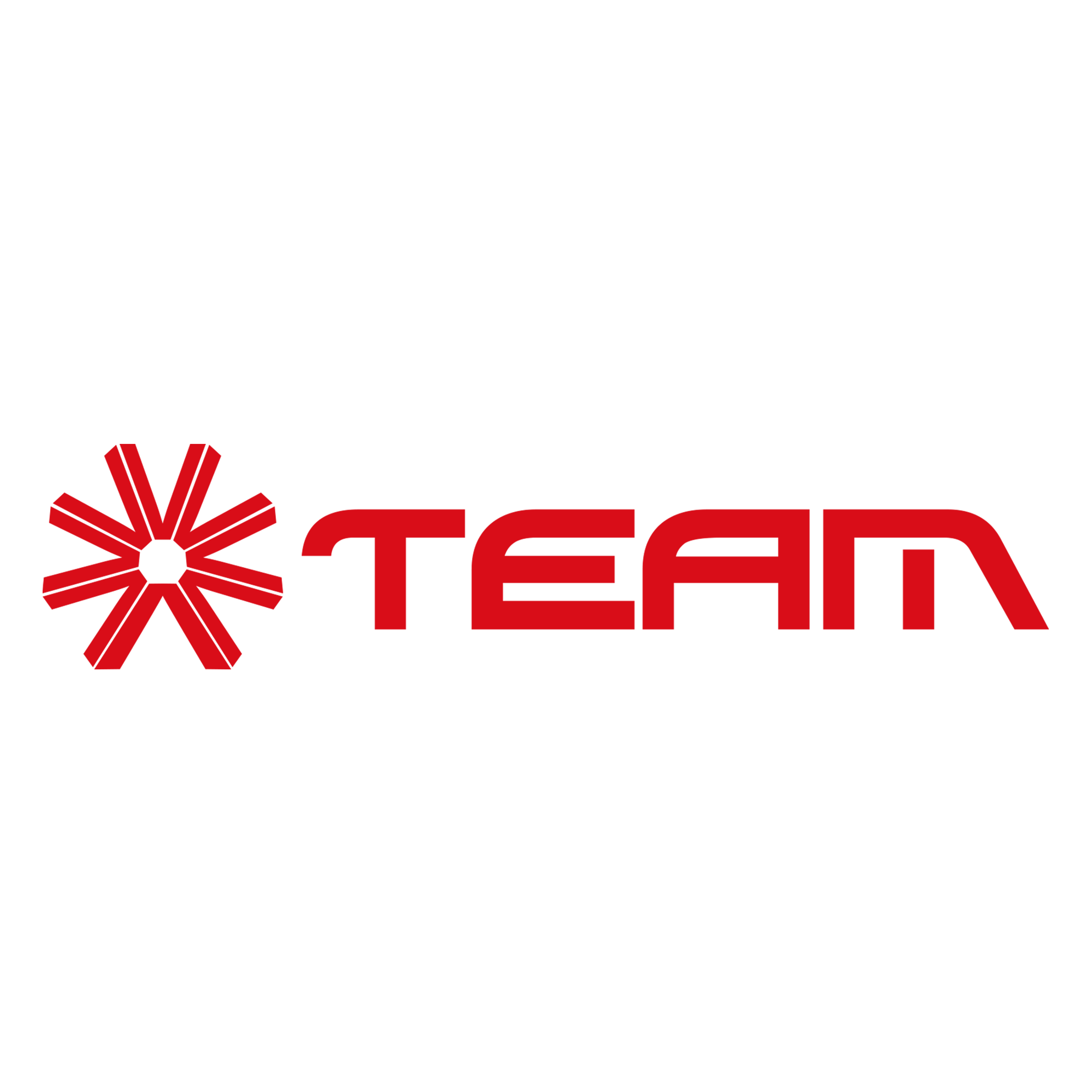 Logo de TEAM CONTABILIDADE RECIFE LTDA