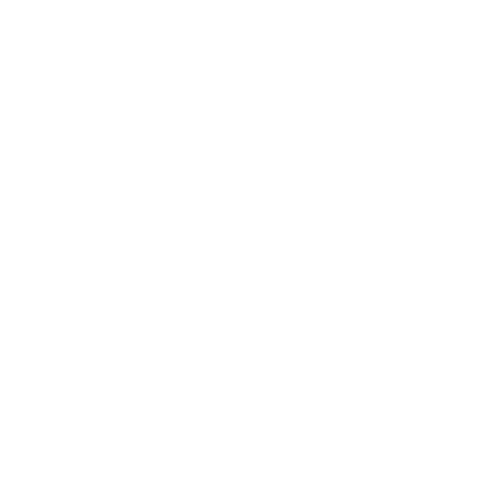 Logo de NICEPLANET APOIO ADMINISTRATIVO LTDA