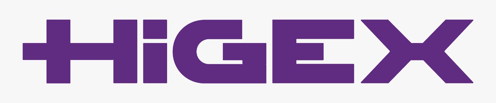 Logo de HIGEX - INDUSTRIA E COMERCIO DE PRODUTOS SANEANTES LTDA