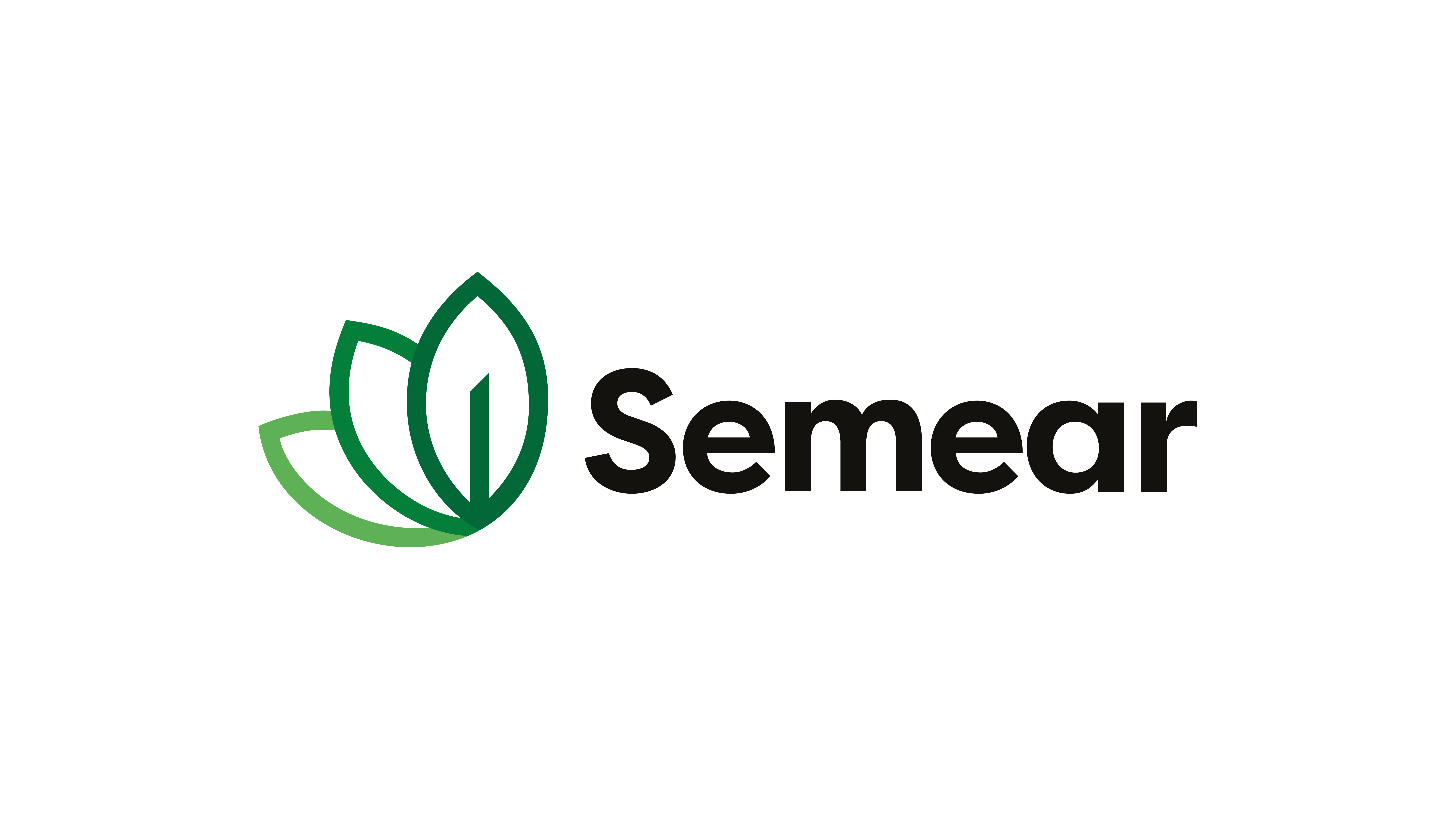Logo de SEMEAR ENGENHARIA AGRONOMICA LTDA