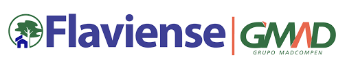 Logo de FLAVIENSE DO BRASIL CONSULTORIA E SERVICOS LTDA