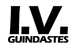 Logo de I.V TRANSPORTES E LOCACOES LTDA