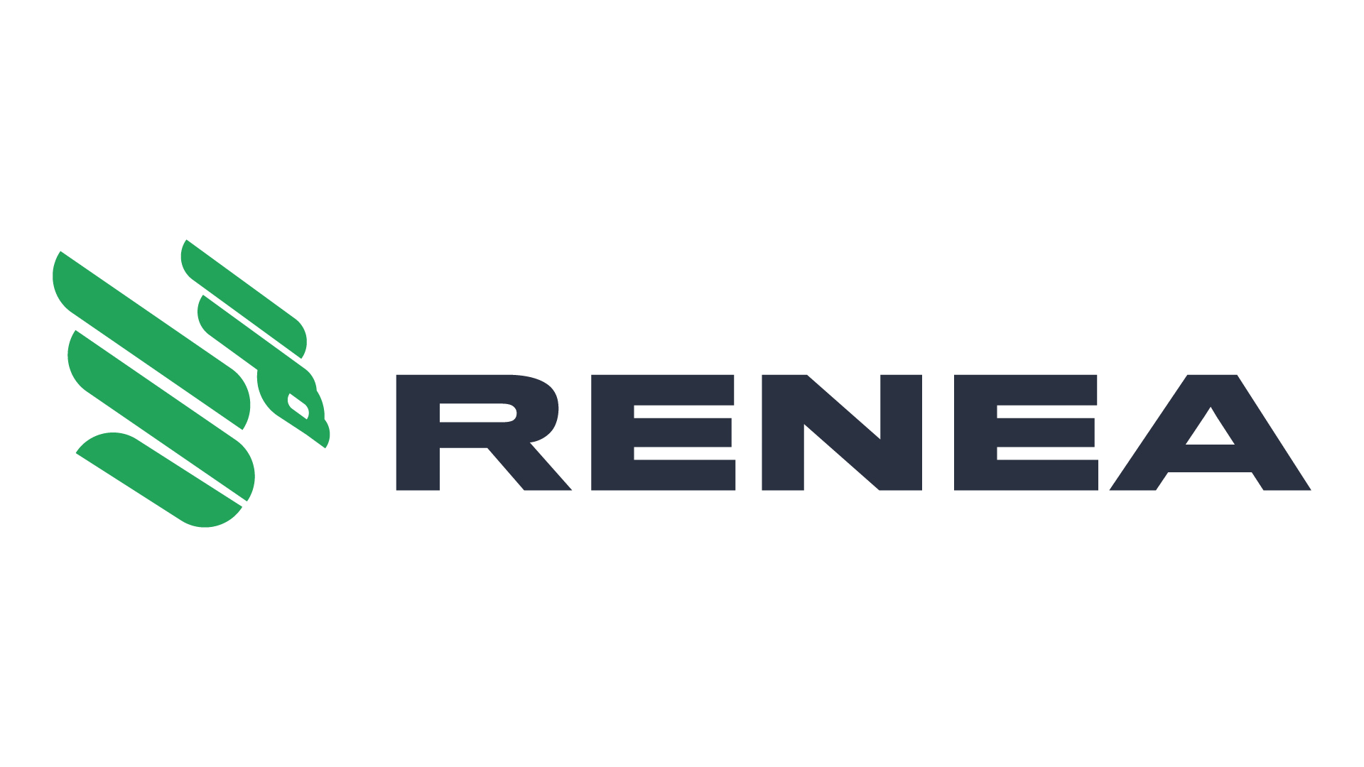Logo de RENEA INFRAESTRUTURA S.A