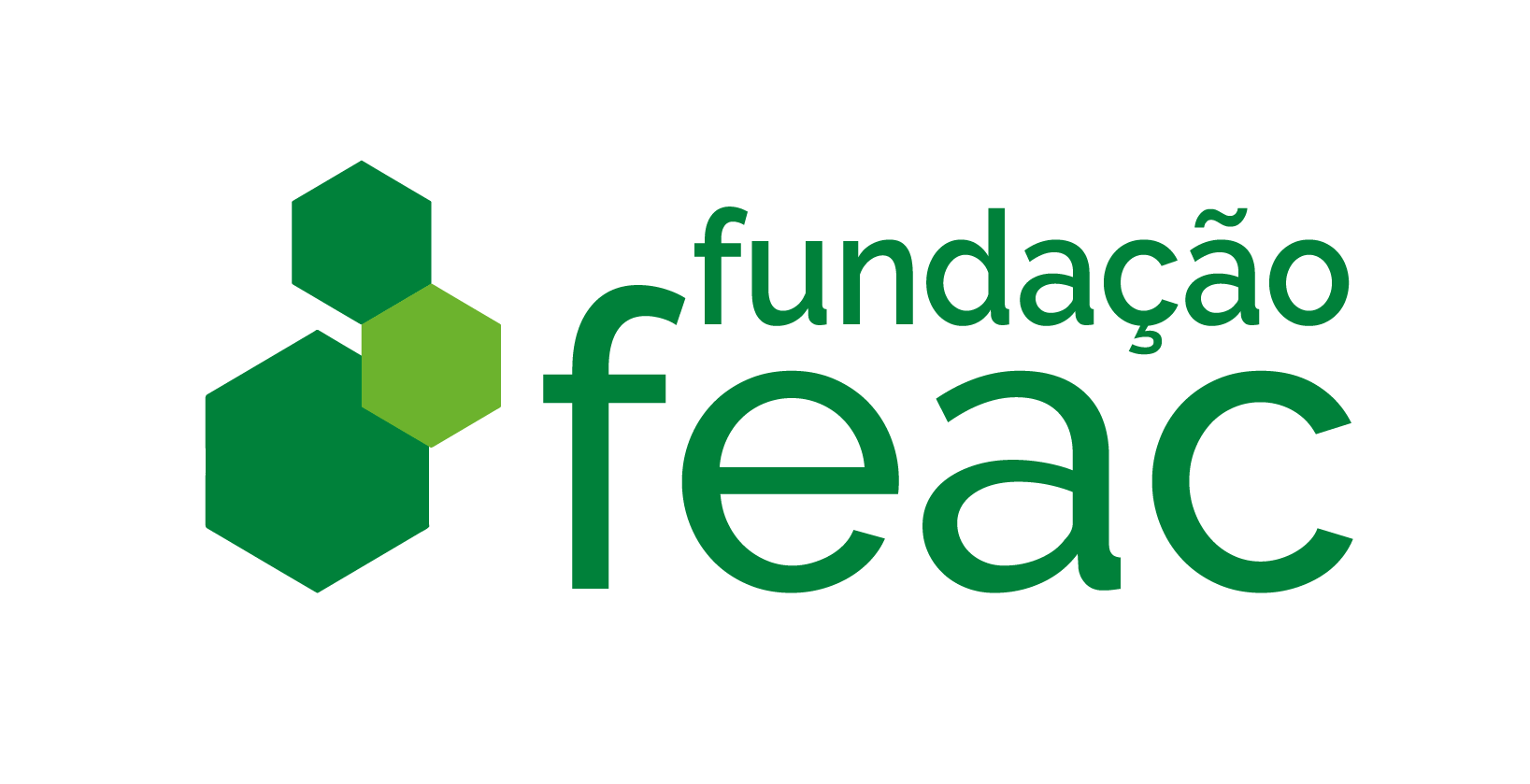 Logo de Fundação FEAC