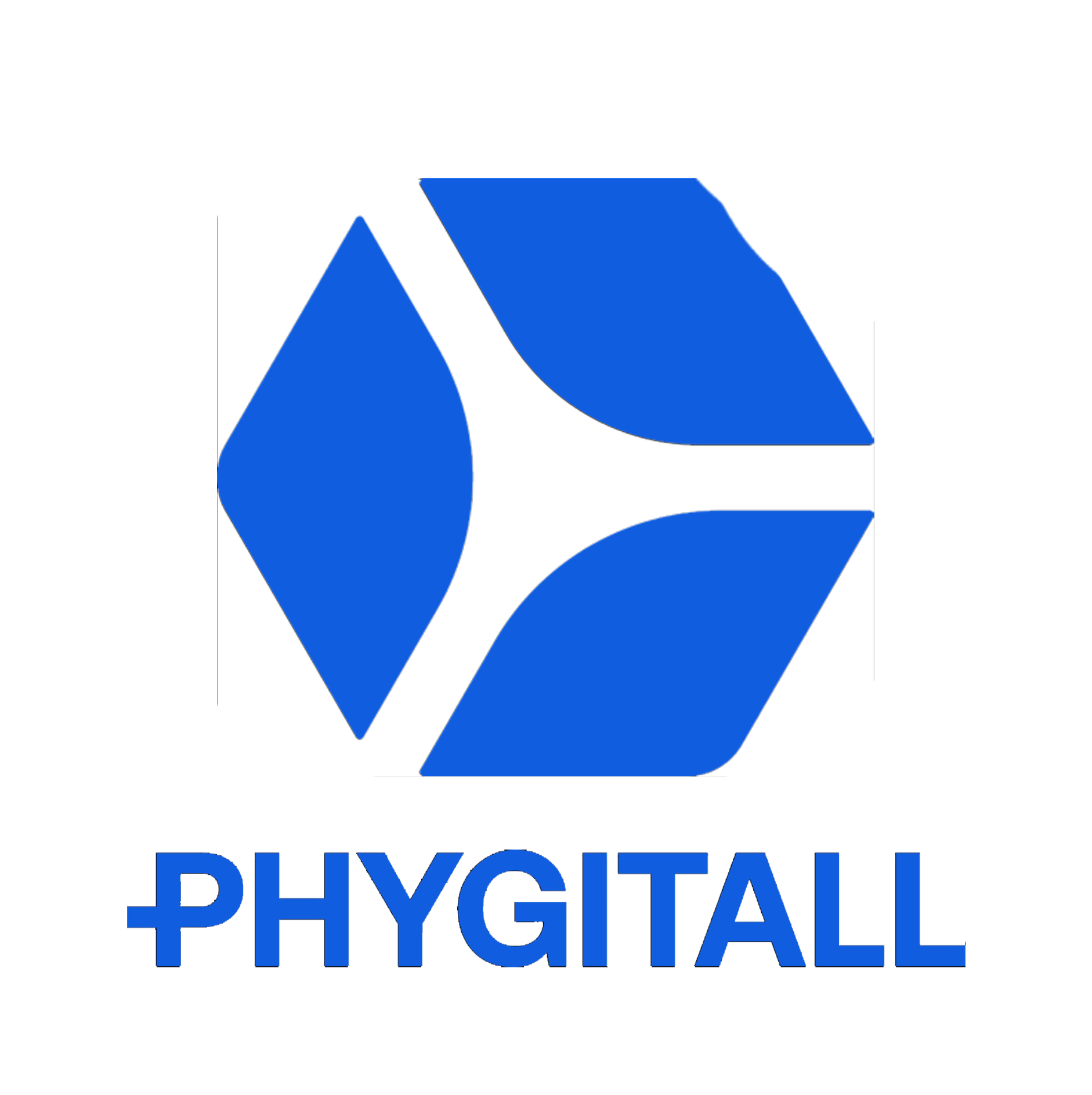 Logo de PHYGITALL SOLUCOES EM INTERNET DAS COISAS LTDA