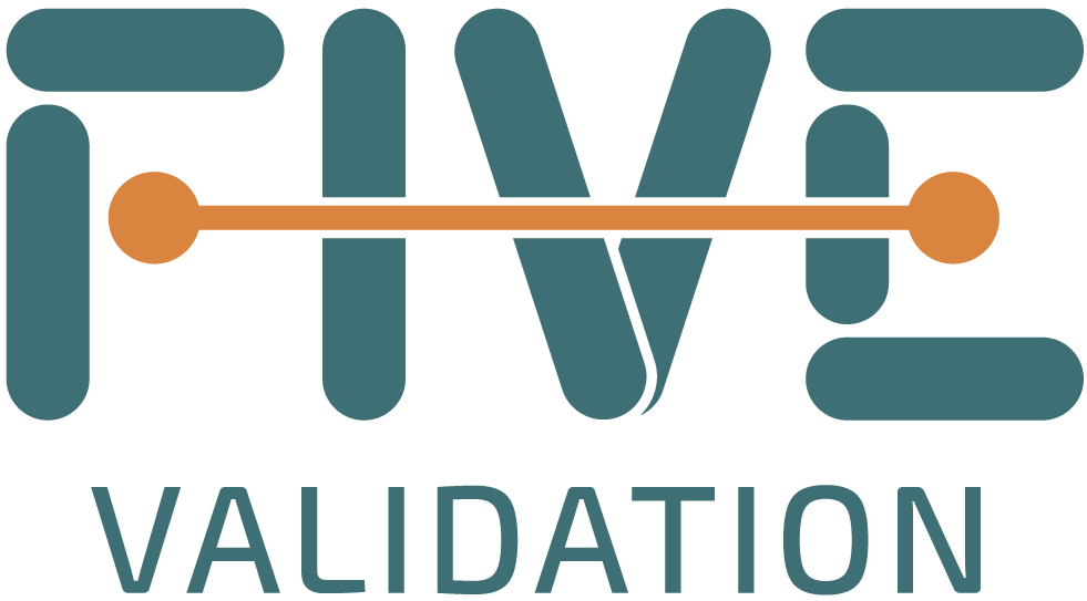 Logo de FIVE VALIDATION LTDA