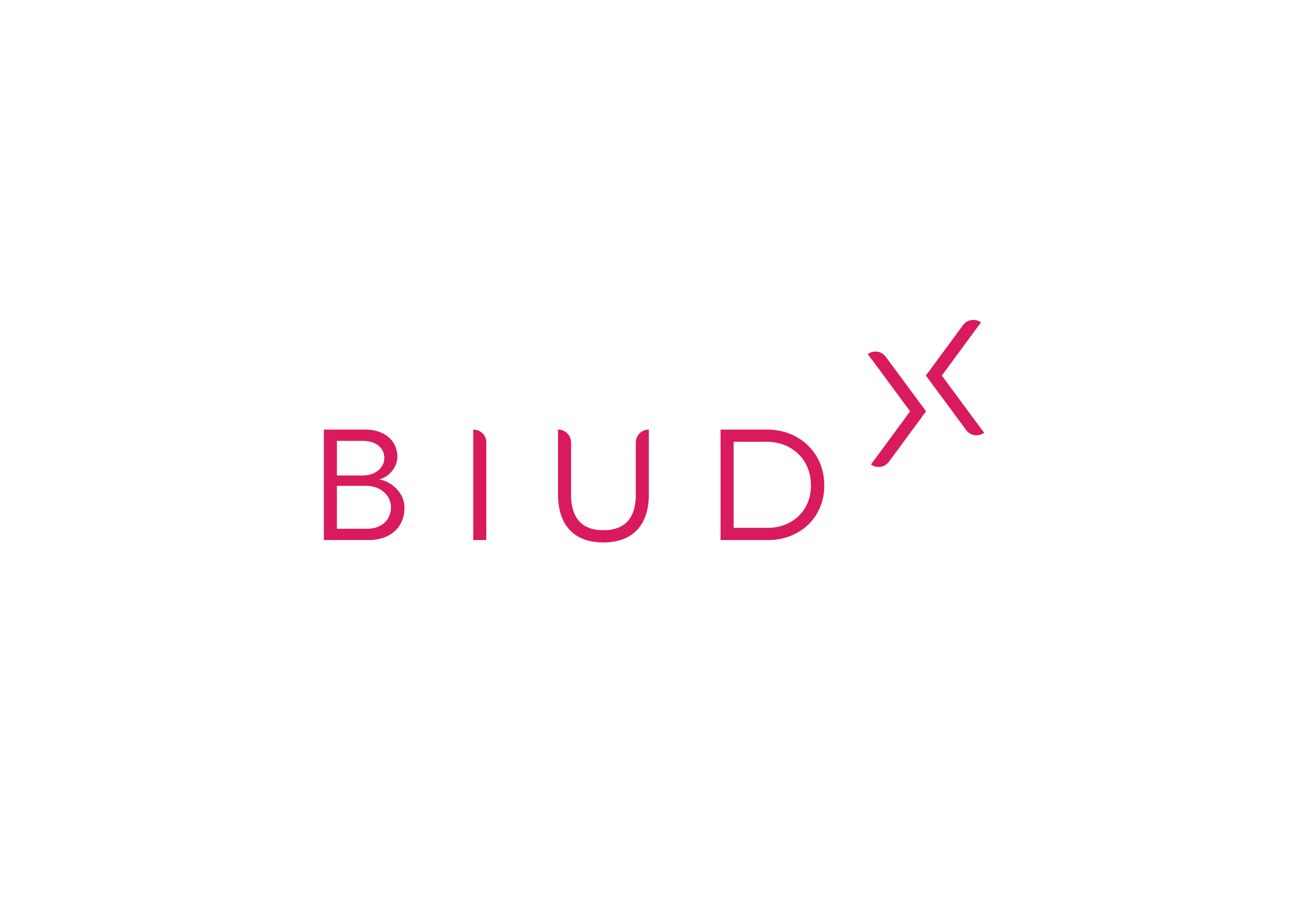 Logo de BIUD TECNOLOGIA LTDA