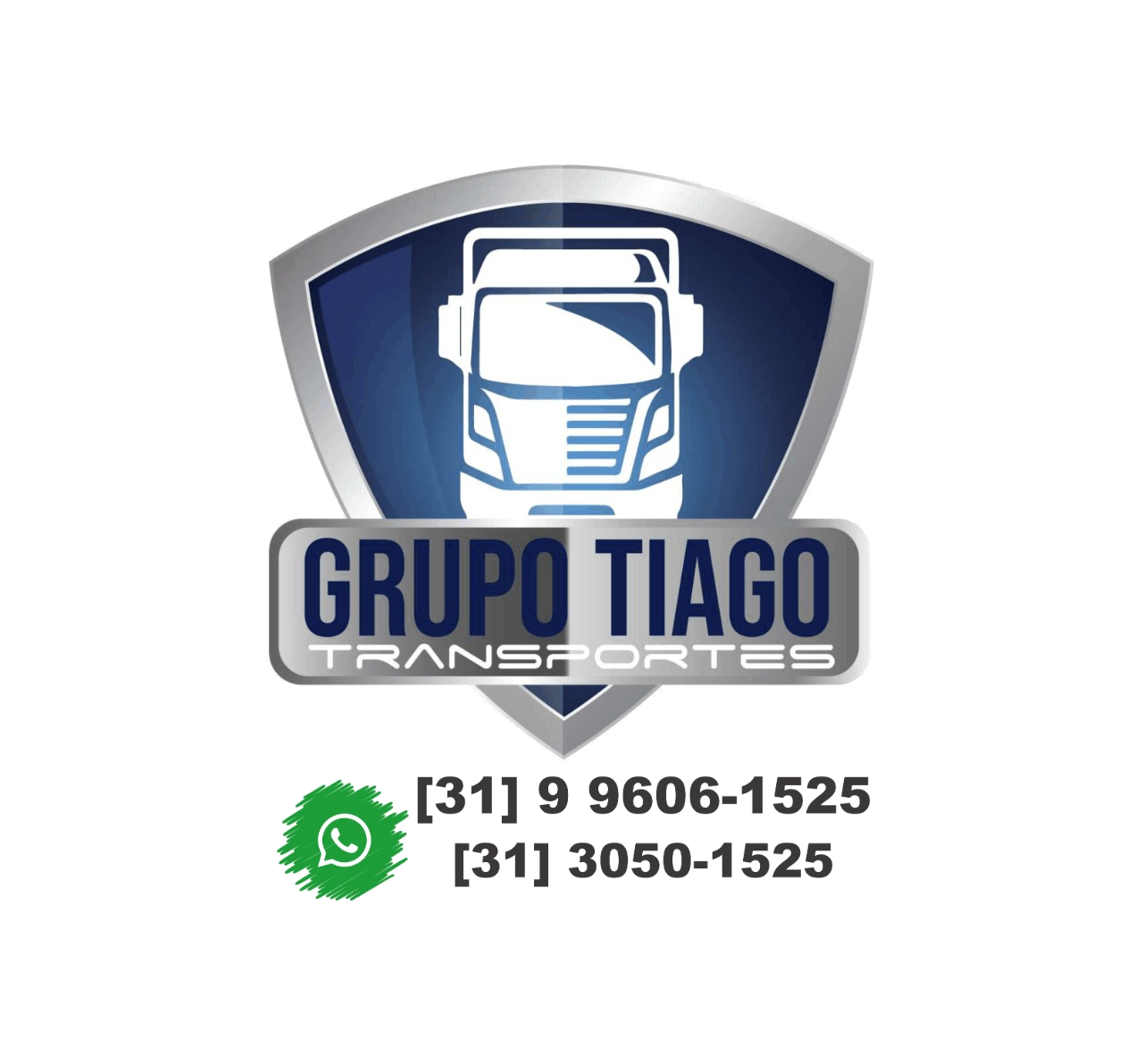 Logo de TIAGO ARMAZENAGEM E LOGISTICA LTDA