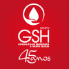 Logo de Grupo GSH