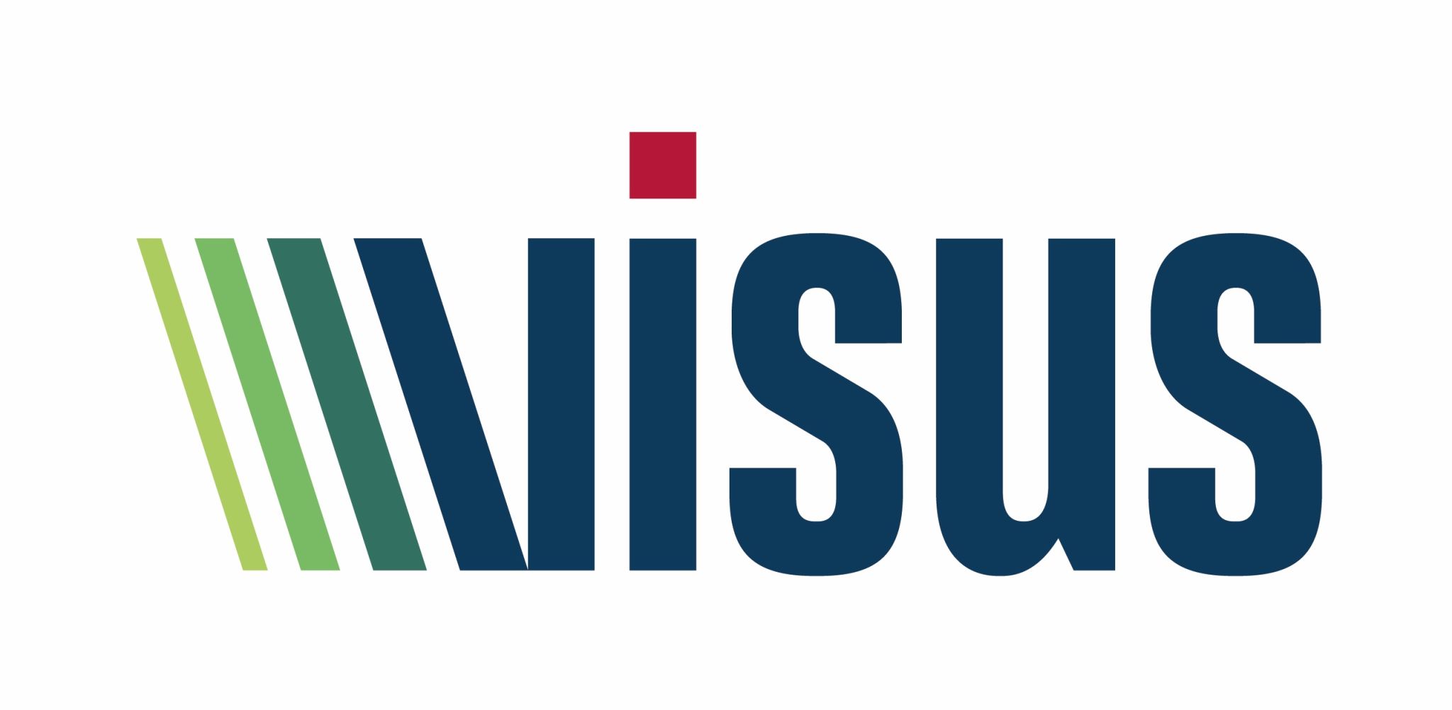 Logo de VISUS ENGENHARIA E SERVICOS LTDA