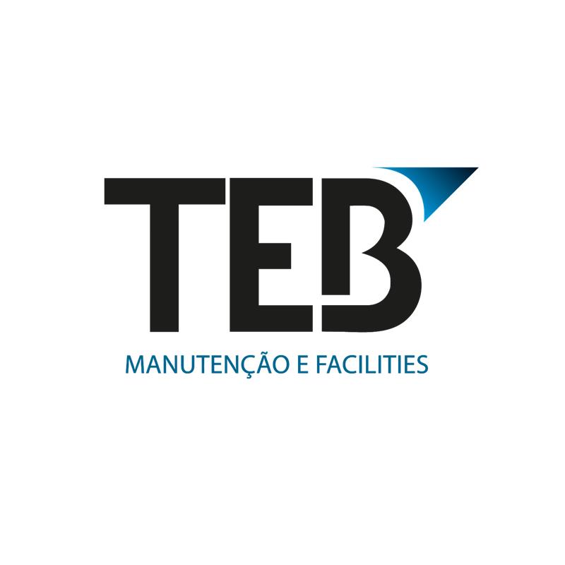 Logo de TEBROECK INDUSTRIA E COMERCIO LTDA