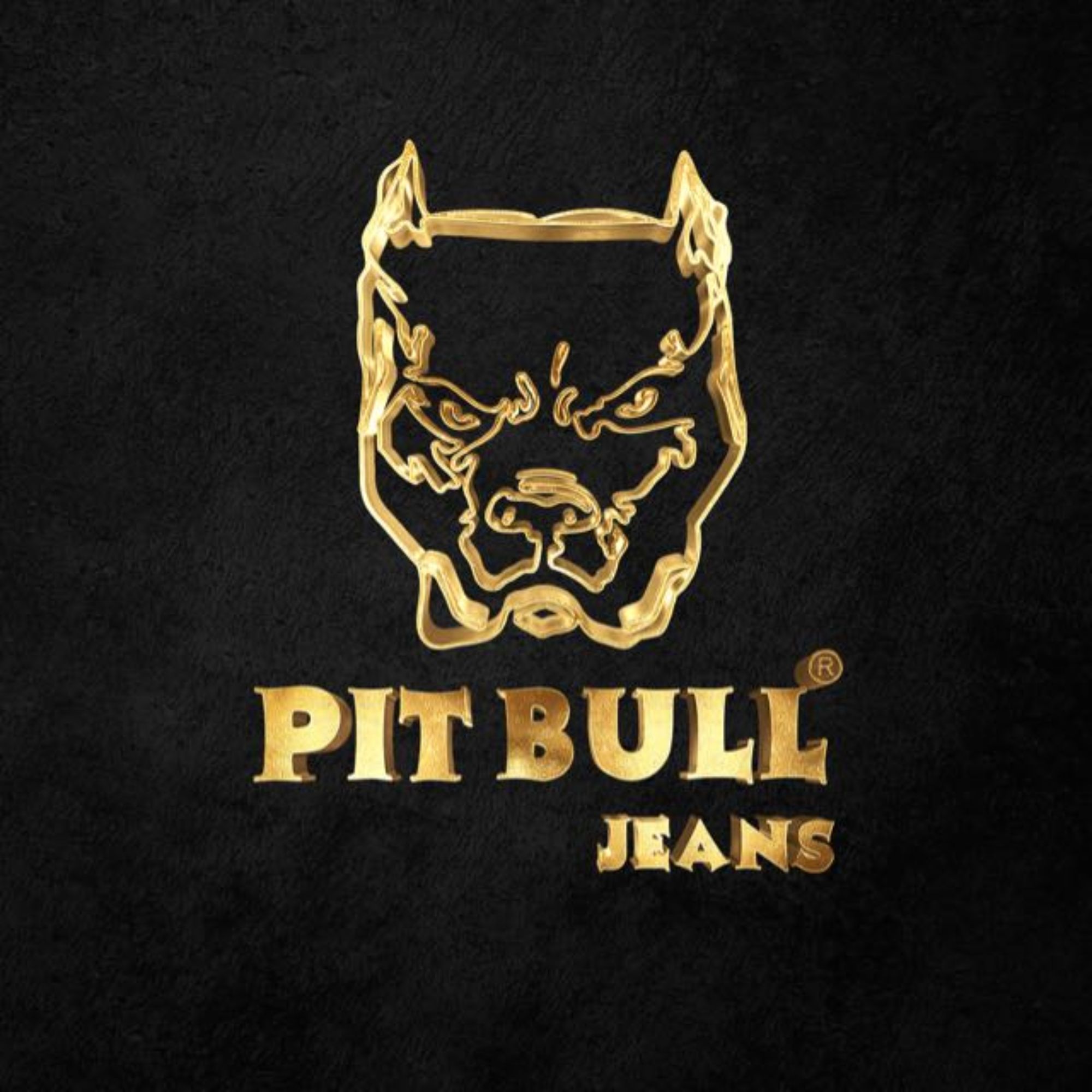 Logo de PIT BULL JEANS INDUSTRIA E COMERCIO DE CONFECCOES LTDA
