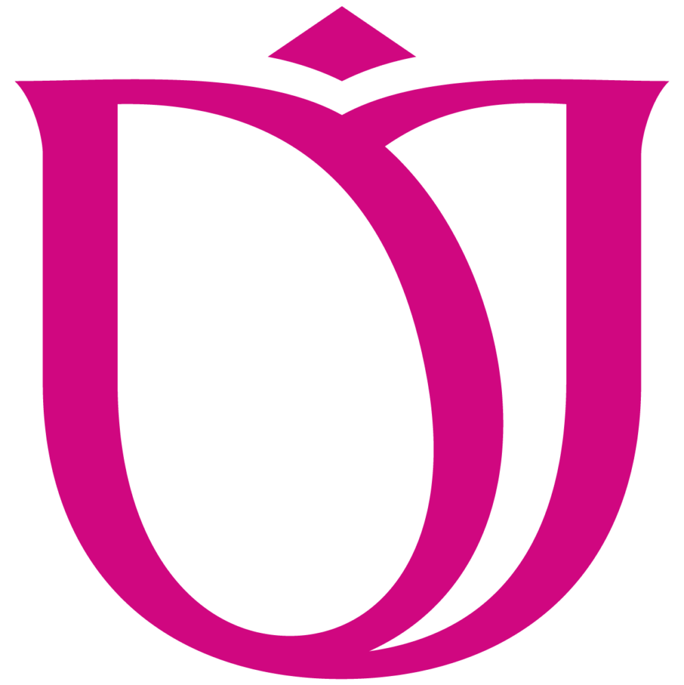 Logo de DEL RAYSSA INDUSTRIA E COMERCIO LTDA