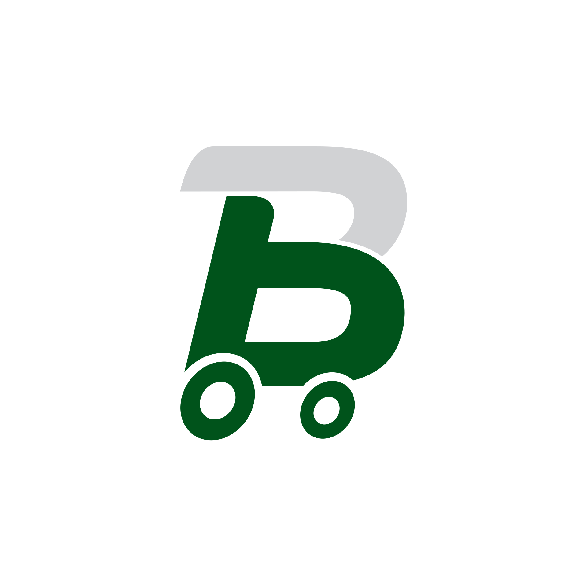 Logo de BONERJAO SUPERMERCADO LTDA