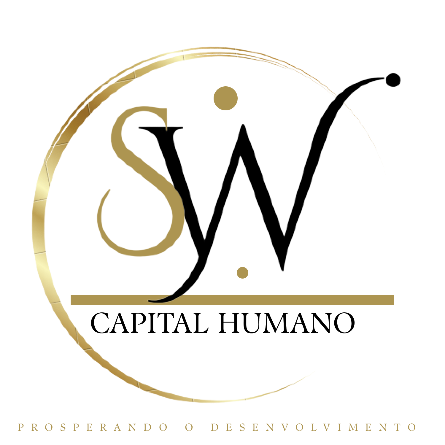 Logo de SW CAPITAL HUMANO LTDA