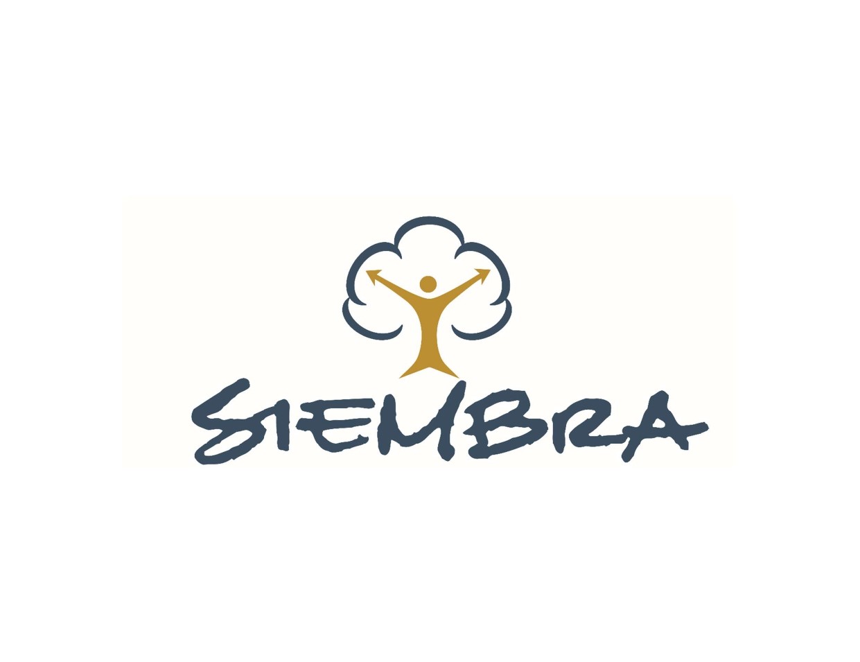 Logo de IRENEU RENATO DA SILVEIRA