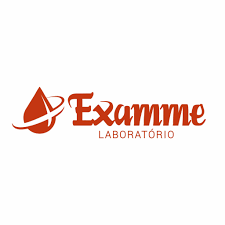 Logo de EXAMME LABORATORIO DE ANALISES CLINICAS LTDA