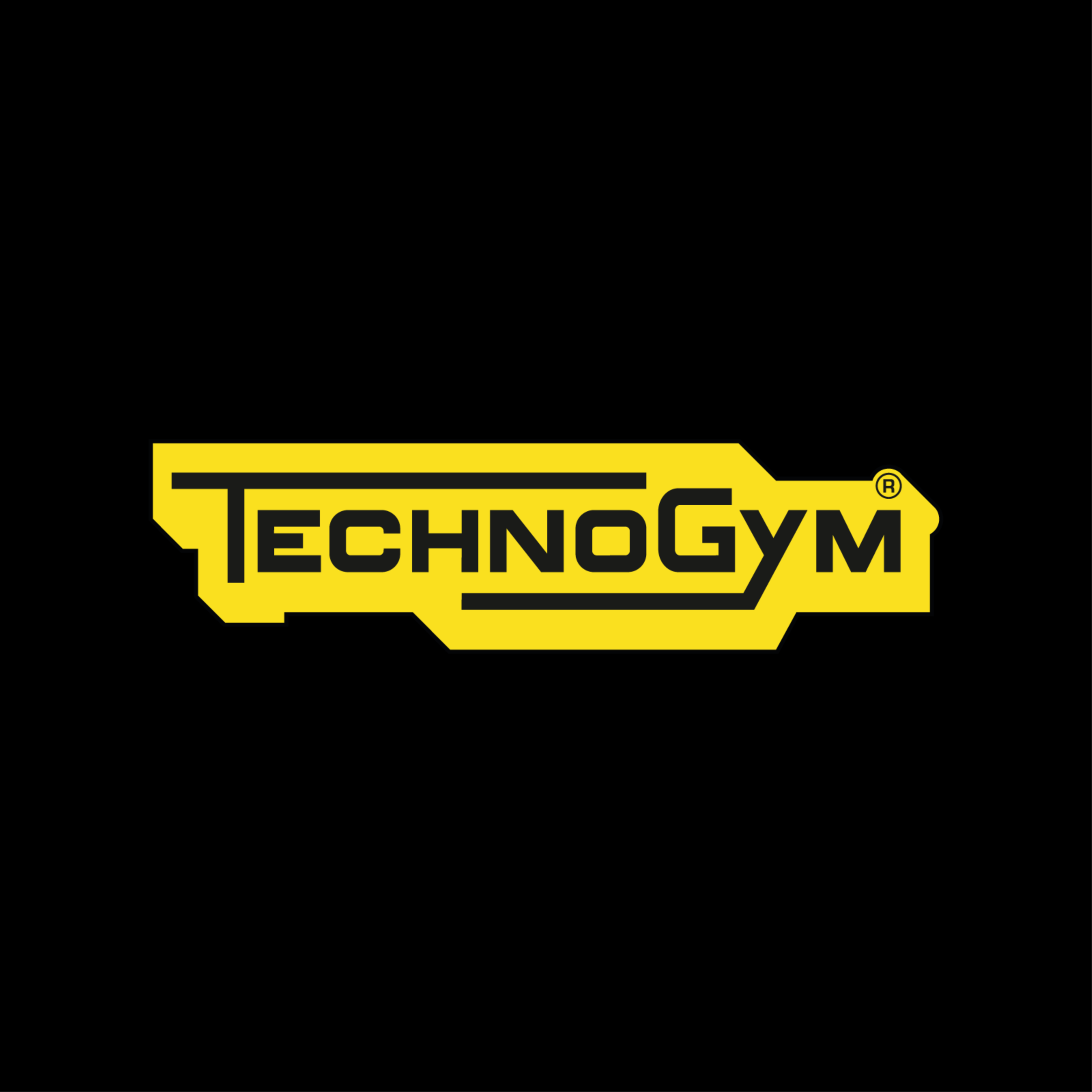 Logo de Technogym
