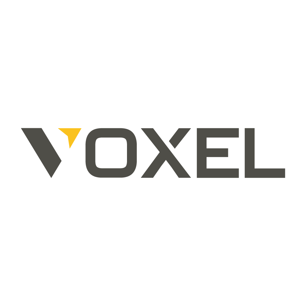 Logo de VOXEL GESTAO EMPRESARIAL LTDA