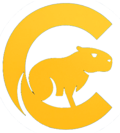 Logo de CAPIPAY BR